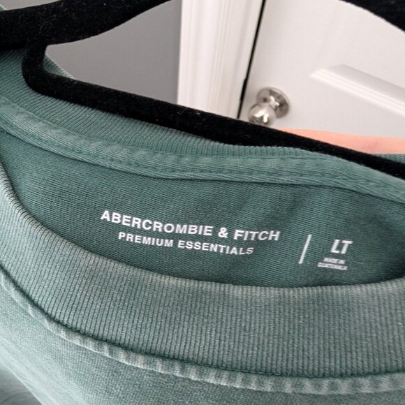 Abercrombie Men's Premium Heavyweight 2.0 Tee Green Large TALL - Picture 4 of 4